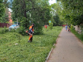Газон на улице Ватутина привела в порядок коммунальная служба