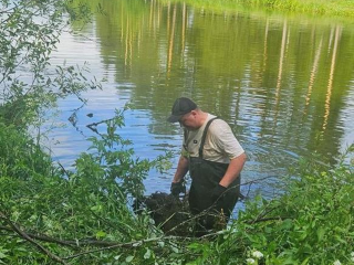 В Пушкинском округе начали расчистку руслового пруда на реке Серебрянка