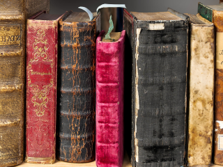 В Пущине пройдет встреча с известным переводчиком книг ренессансной прозы и поэзии