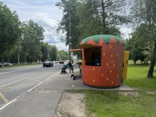 В Ленинском округе ягоду прямо с поля продают в брендированных киосках «Клубничка»