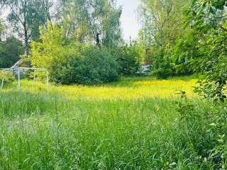 Футбольное поле в Свиноедово сделают пригодным для детских игр