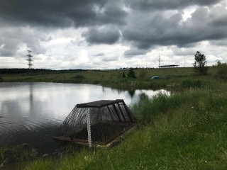 Спасатели освободили лису, застрявшую в очистном сооружении под Солнечногорском