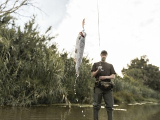 В водоемах Богородского округа обнаружили редкую рыбу