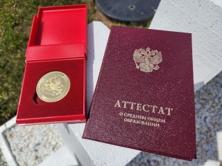 В Воскресенске получила награду золотая медалистка школы «Наши традиции»
