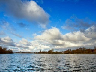 Десять прудов очистят до конца года в Богородском округе