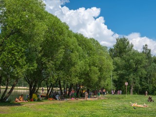 Реутовчане попросили администрацию установить больше лавочек на берегу Фабричного пруда