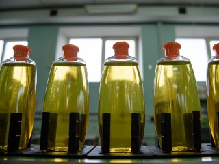 Компания инвестирует ₽70 млн в производство сырья для фармацевтики и химии