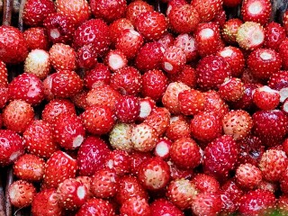 Семь секретных мест, где можно собрать рекордный урожай земляники