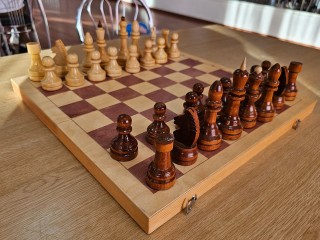 Луховицкий спортсмен стал победителем блиц-турнира по шахматам в Коломне