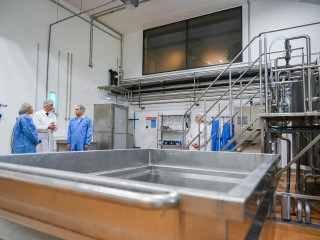Пять тысяч тонн сыров в год производит завод Ленинского округа