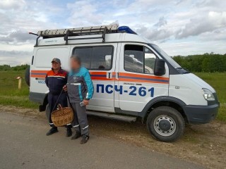 Спасатели нашли грибника, заблудившегося в лесу близ Коломны