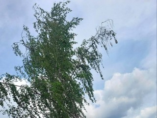 Жителей Подмосковья ожидают жаркие и дождливые выходные