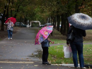 Жителей Подмосковья предупредили о дождях, грозах и сильном ветре