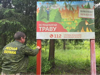 В Орехово-Зуевском лесничестве завершены работы по противопожарной безопасности