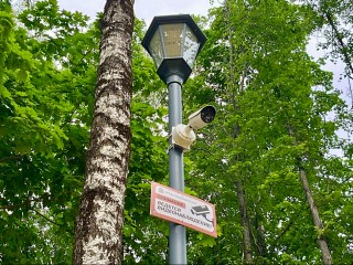 В Подмосковье камеры научились фиксировать парковку на газонах