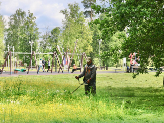 Поросль и сухостои ликвидируют в городском парке и на железнодорожных станциях Электрогорска