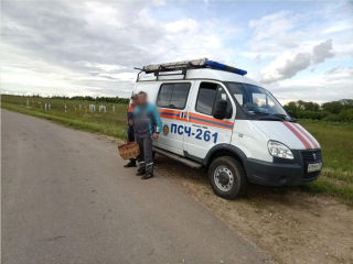 Спасатели нашли грибника, заблудившегося в лесу близ Коломны