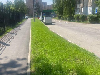 Народные тропы в Балашихе обустроили на 40%