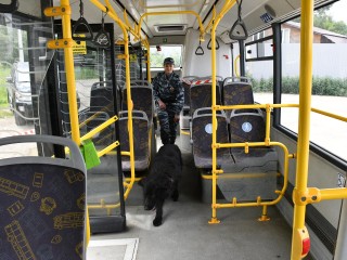 Зачем кинологи с собаками проверяли автобус в Жуковском