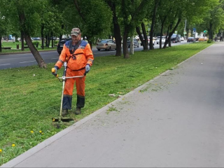 Опять жужжат косилки: в Люберцах борются с высокой травой вдоль дорог
