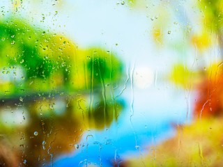 От +16°C до +26°C: синоптики обещают скорый возврат лета в Подмосковье