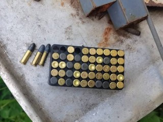 Полиция задержала жителя Талдома за незаконное хранение оружия и боеприпасов