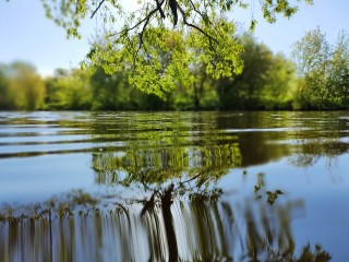 Жара в Подмосковье не вернется даже в июле