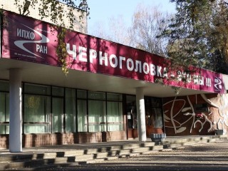 Два сотрудника черноголовского ФИЦа получили сертификаты на жилищные субсидии
