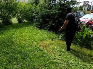 Коммунальщики ежедневно косят траву в городе для красивых видов