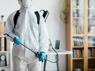 Специалисты рассказали, как не допустить клопов в свой дом