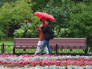 Самым холодным днем недели в Московском регионе назвали 14 июня