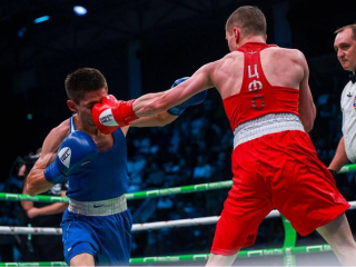 Подмосковные спортсмены взяли 14 медалей на чемпионате ЦФО по боксу