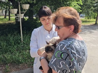Собак и кошек жителей Дединова бесплатно защитят от бешенства