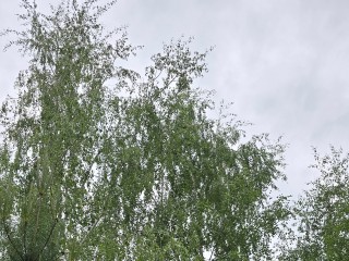 День защиты детей в Подмосковье выдастся прохладным и дождливым