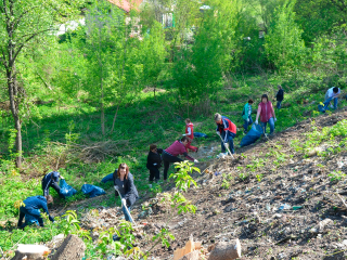 Зарайцев приглашают помочь с расчисткой оврага в исторической части города