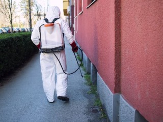 В Красногорске проведут внеплановую дератизацию на Новотушинской улице