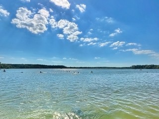 Пляж на озере Святое признан одним из лучших в Подмосковье