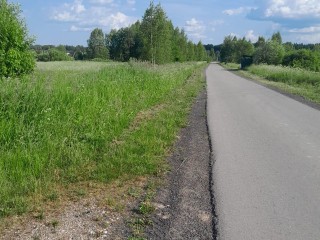 В двух населенных пунктах Шаховской привели в порядок придорожные зоны