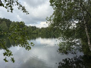 В Электростали разрешили купаться на трех водоемах