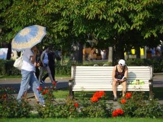 Грозы не помешают рекордным +31°C: Московскую область накроет аномальное тепло