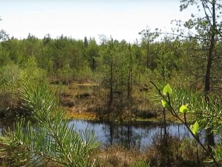 Видеоролик школьников из Орехово-Зуева признан лучшим на Всероссийской конференции