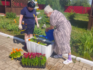 Гарденотерапию для борьбы со стрессом практикуют в пансионате для пожилых