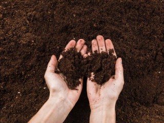 Предприятия должны будут предоставлять отчетность о производстве искусственных грунтов
