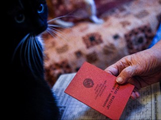 Жителям Подмосковья упростили получение звания «Ветеран труда»