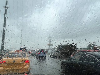 Июль в Подмосковье: холодный старт лета и надежда на август