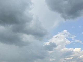 Жителей Подмосковья ждет жаркое, пасмурное и дождливое воскресенье