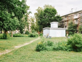 Прогулочные зоны, древесная кора и декоративные злаки: как изменится сквер на Московском проспекте