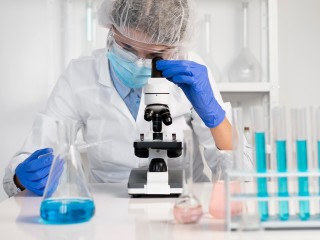 Ученые предупредили о возможном межвидовом переходе новых мербековирусов к человеку