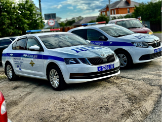 Облавы на дорогах: кто попадет под прицел инспекторов ДПС в Серебряных Прудах