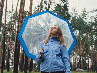 Из-за дождя отменили восточные танцы в Беличьем парке